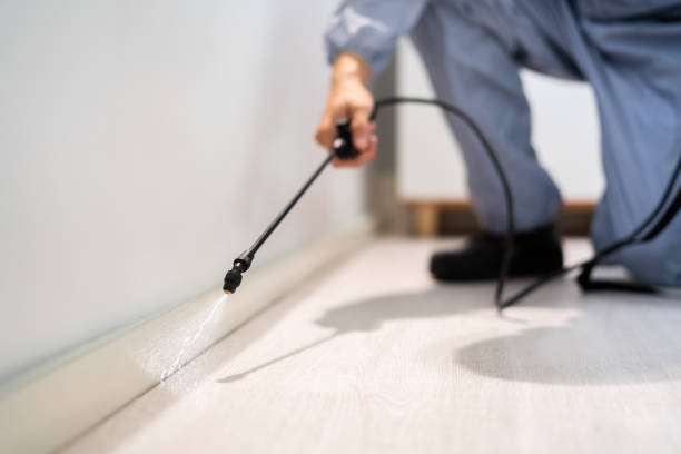 Licensed Mosquito Control service in Alexandria, VA - Show Me Pest Control