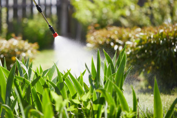 24/7 Emergency Mosquito Control experts in Alexandria, VA