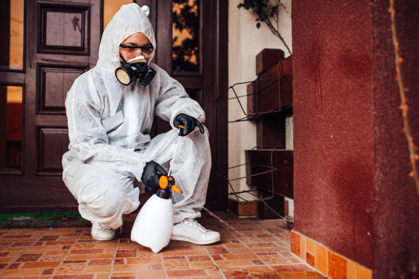 Reliable Mosquito Control contractor in Alexandria, VA by Show Me Pest Control