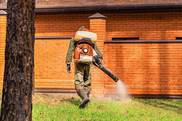 Top rated local Mosquito Control specialists in Alexandria, VA